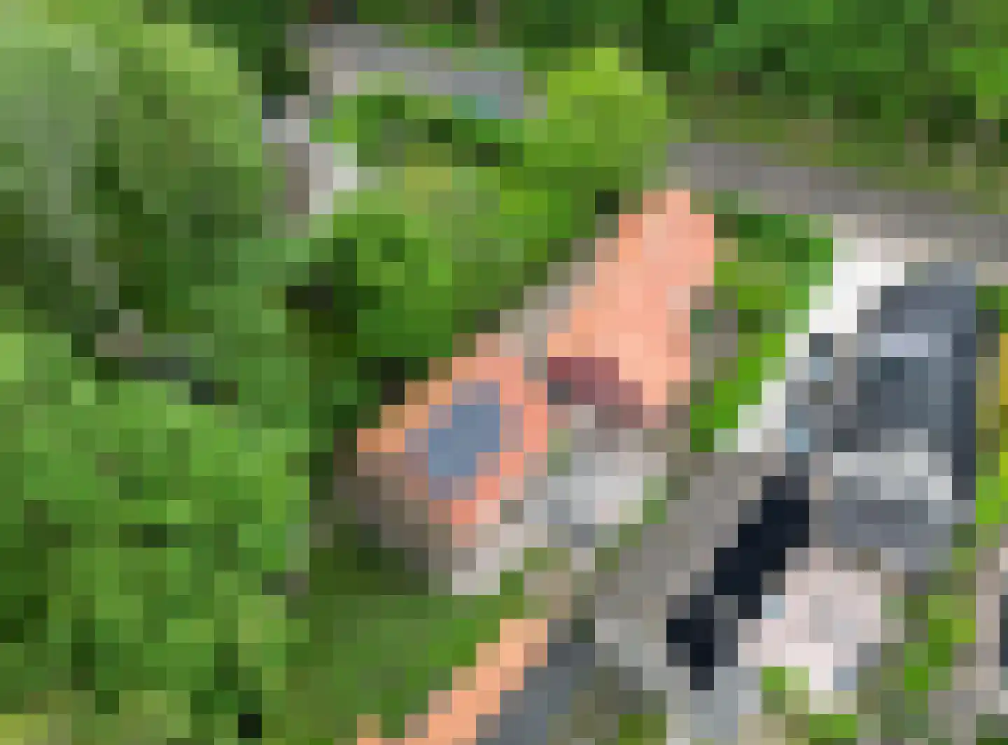 Lyclamaweg 33 Makkinga thumbnail 82