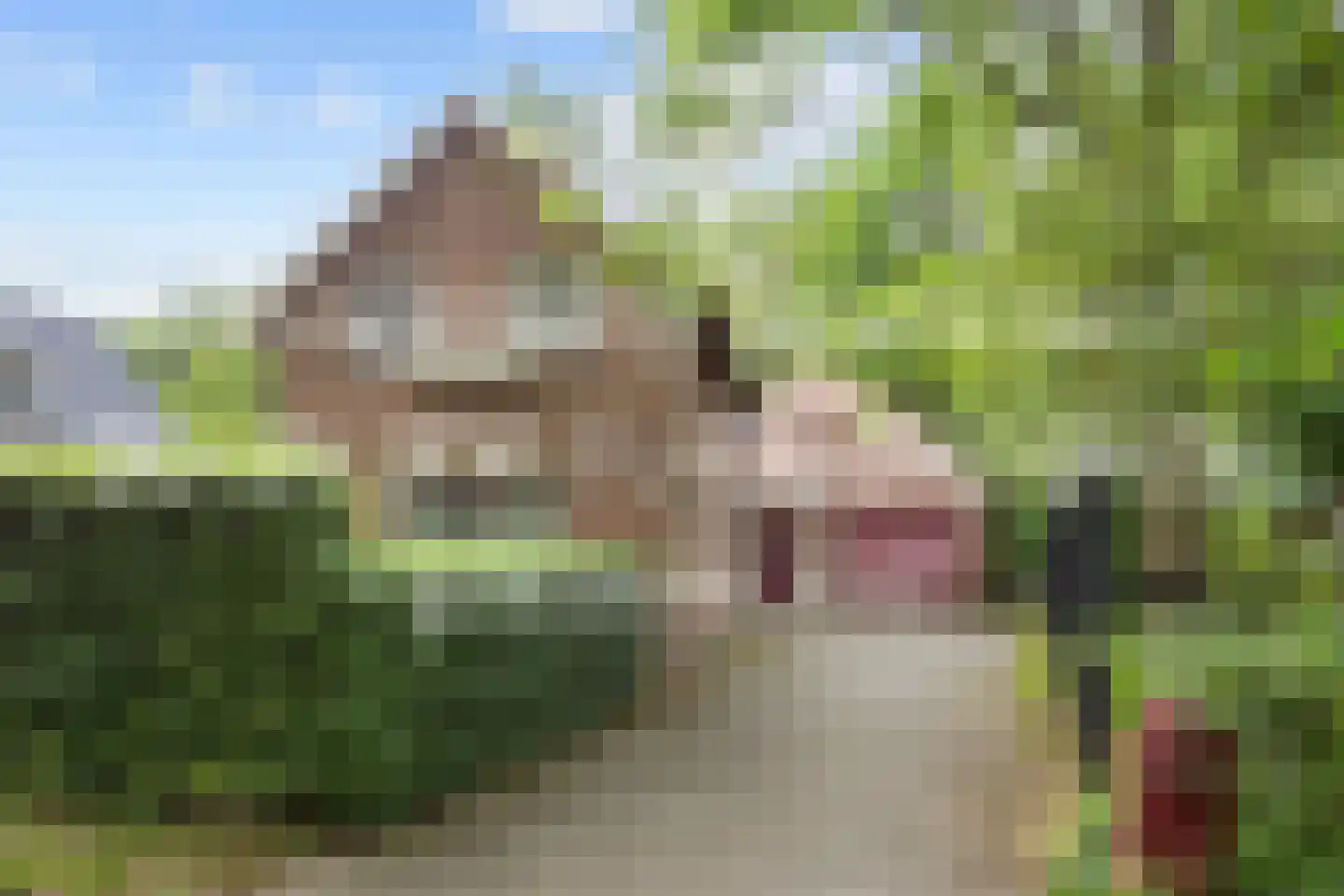 Lyclamaweg 33 Makkinga thumbnail 9