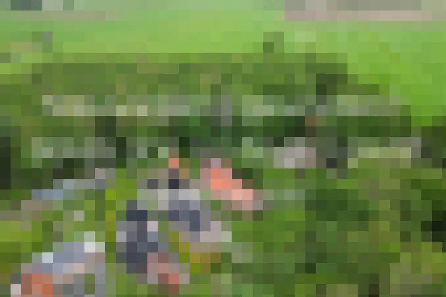 Lyclamaweg 33 Makkinga thumbnail 9