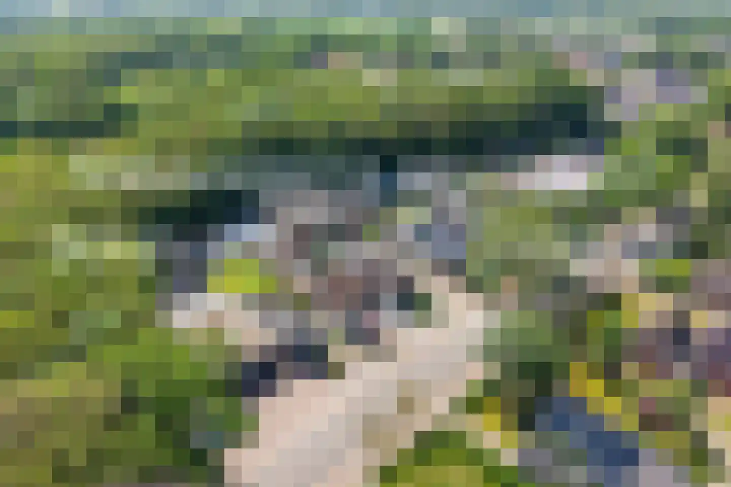 Lyclamaweg 38 Makkinga thumbnail 10