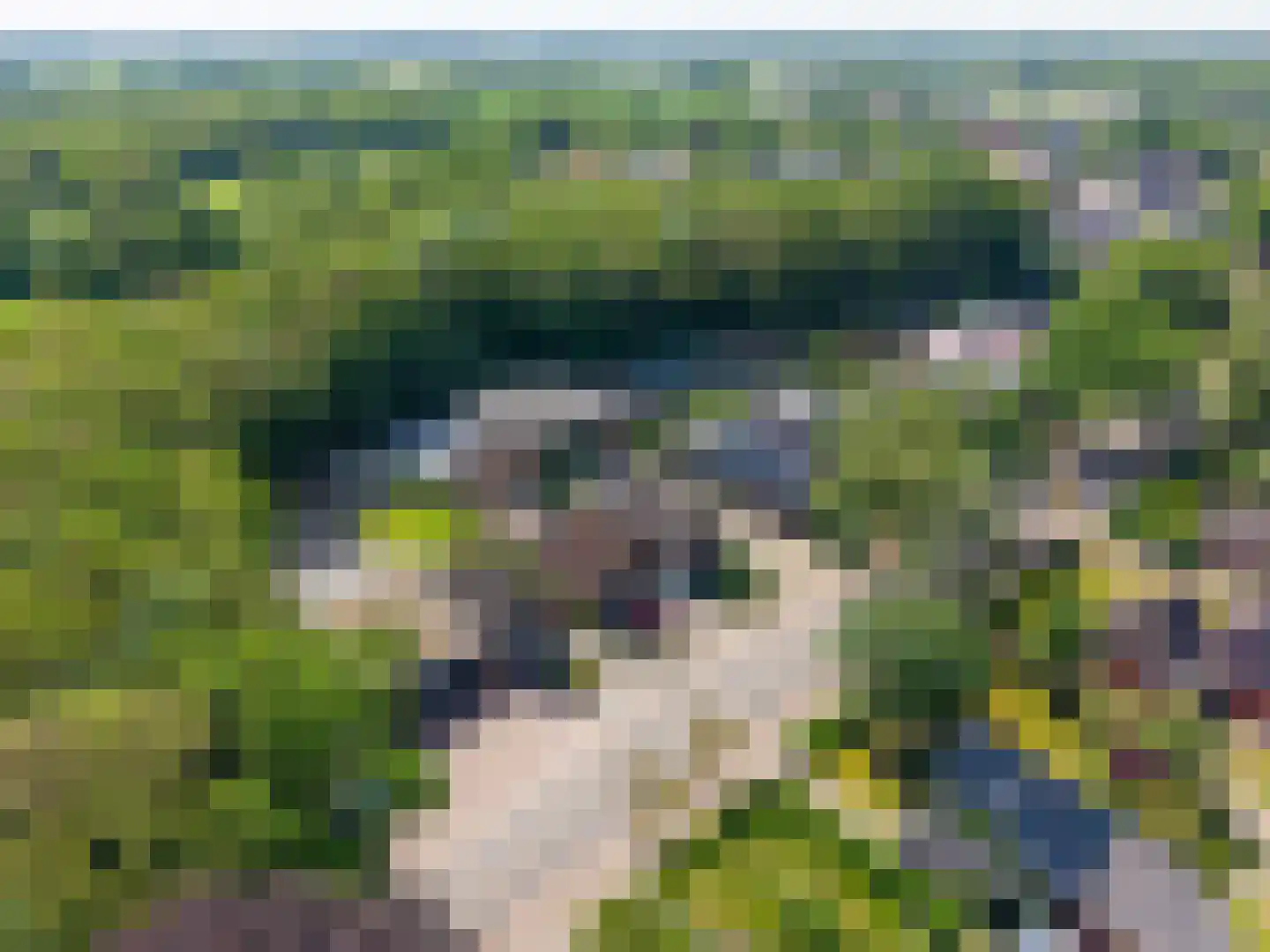 Lyclamaweg 38 Makkinga thumbnail 11