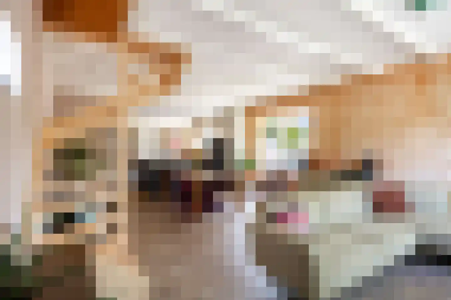 Lyclamaweg 38 Makkinga thumbnail 19