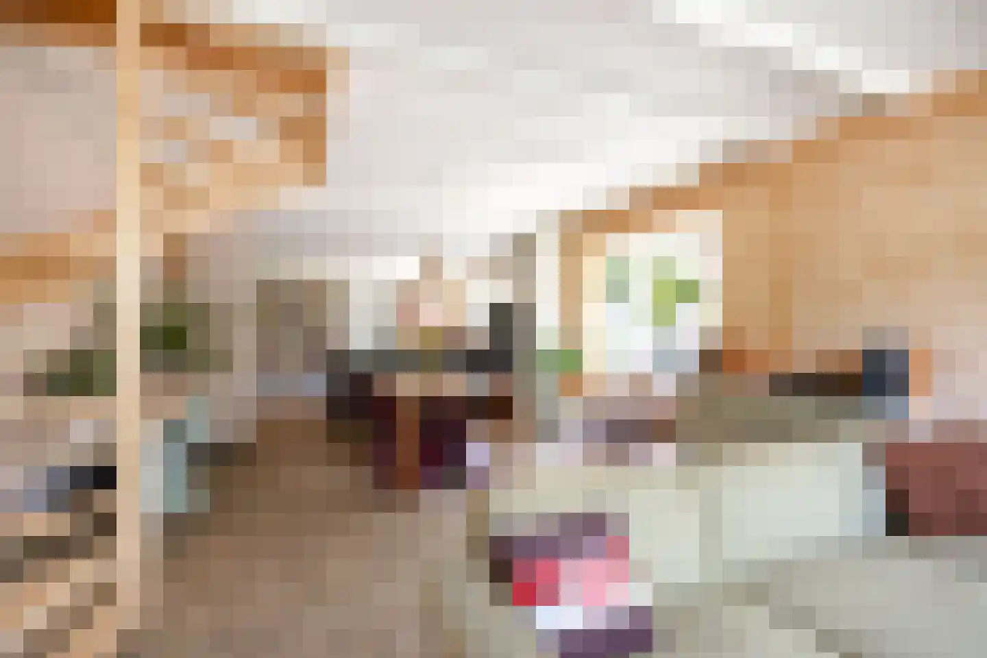 Lyclamaweg 38 Makkinga thumbnail 20
