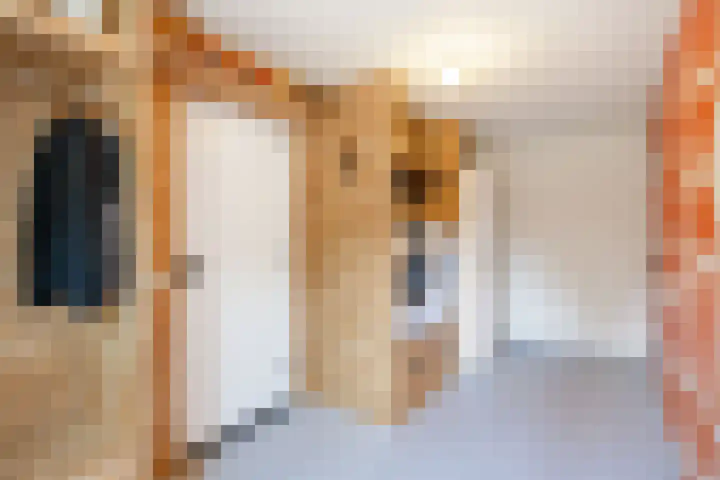 Lyclamaweg 38 Makkinga thumbnail 32