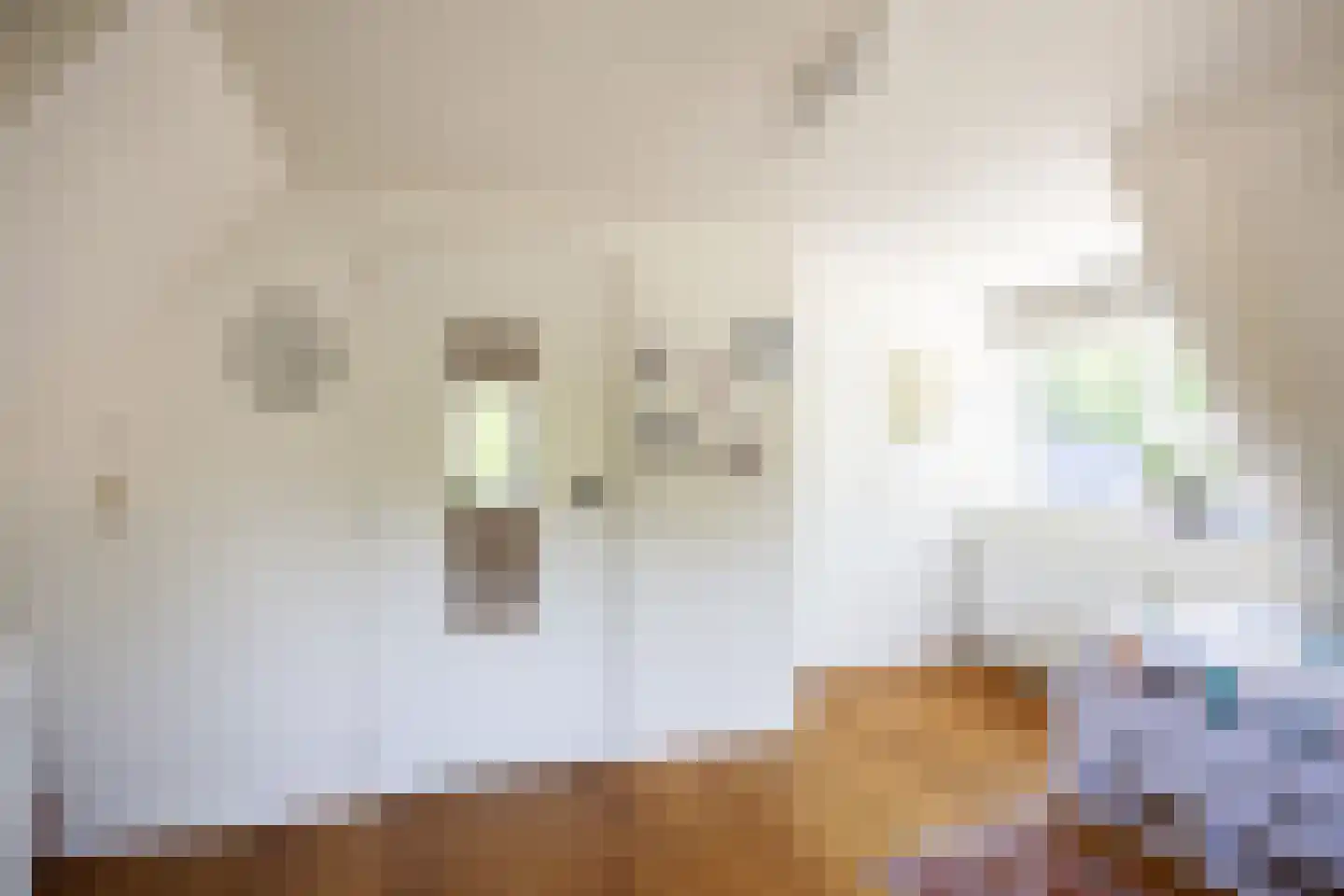 Lyclamaweg 38 Makkinga thumbnail 47