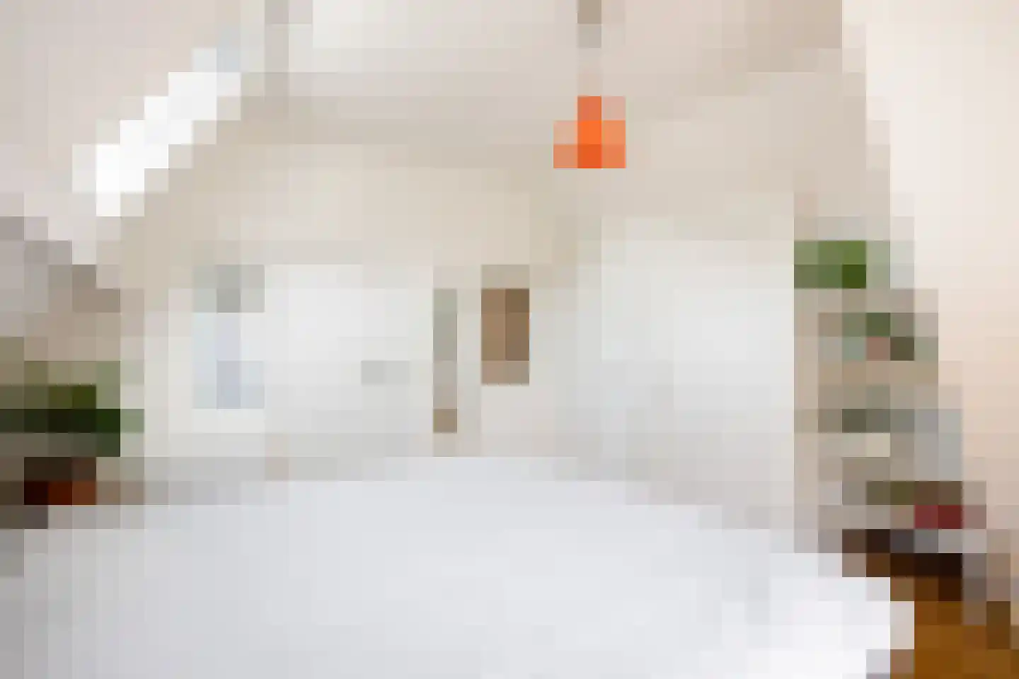 Lyclamaweg 38 Makkinga thumbnail 53