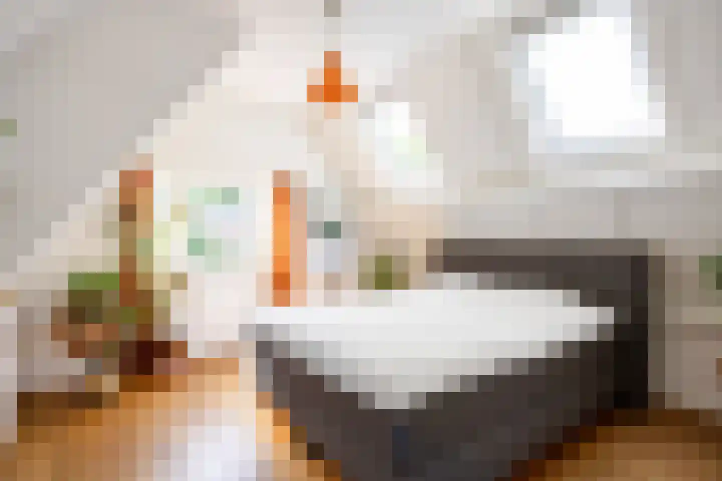 Lyclamaweg 38 Makkinga thumbnail 6