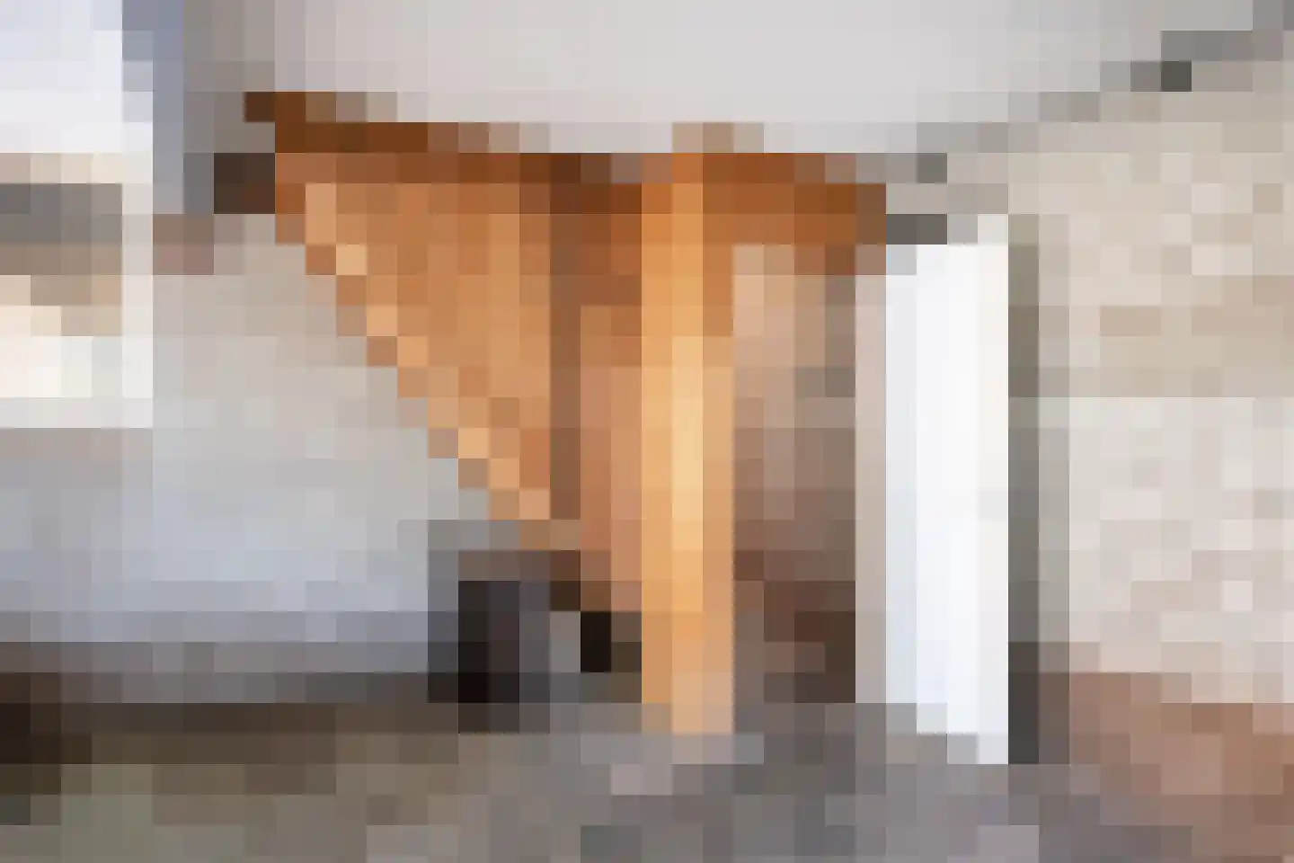 Lyclamaweg 38 Makkinga thumbnail 60