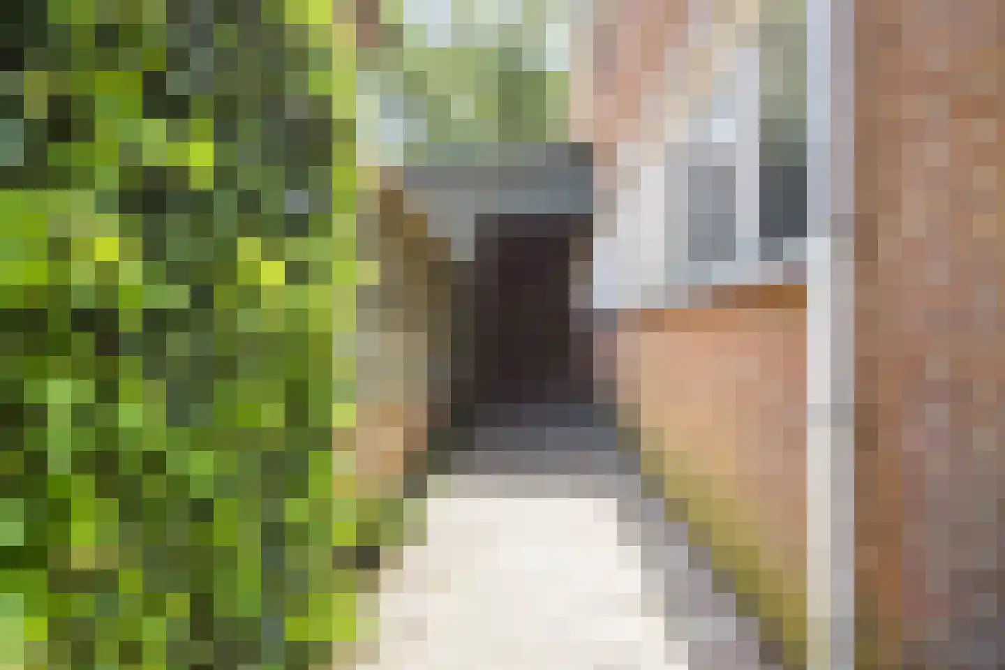 Lyclamaweg 38 Makkinga thumbnail 75