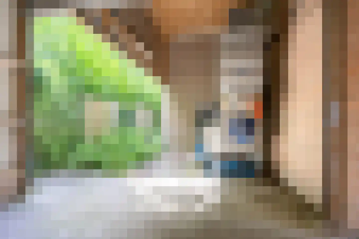Lyclamaweg 38 Makkinga thumbnail 79