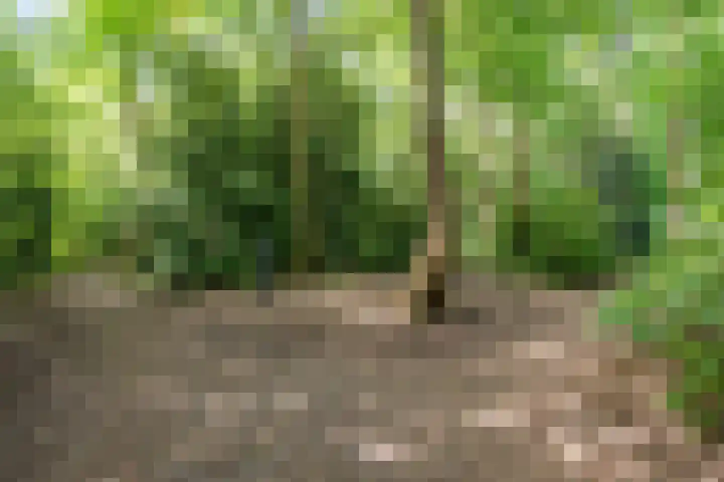 Lyclamaweg 38 Makkinga thumbnail 81