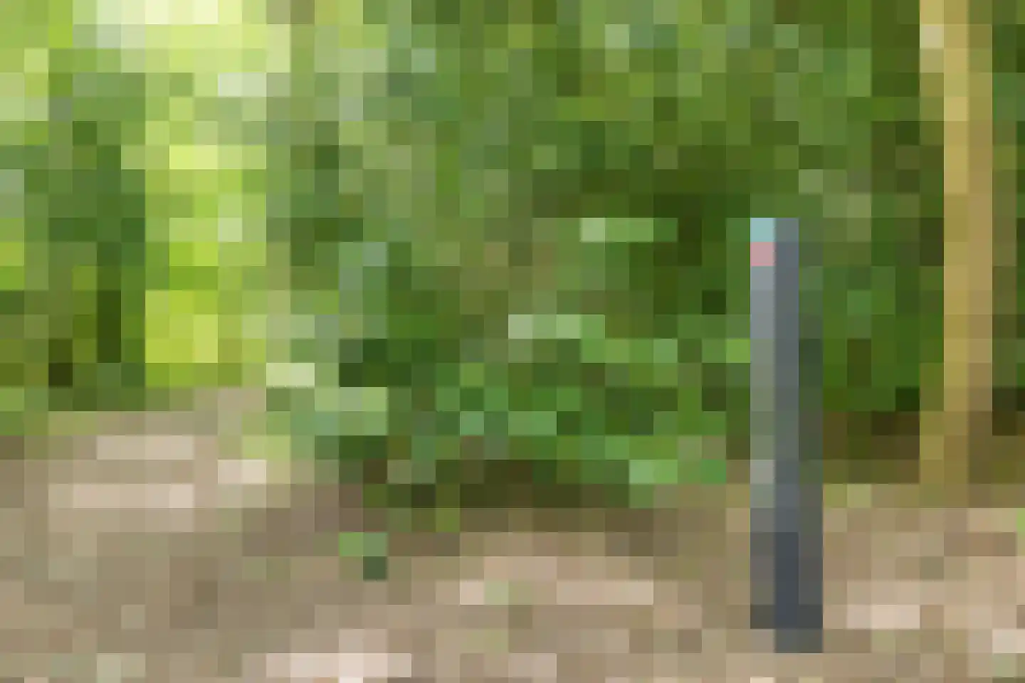 Lyclamaweg 38 Makkinga thumbnail 82