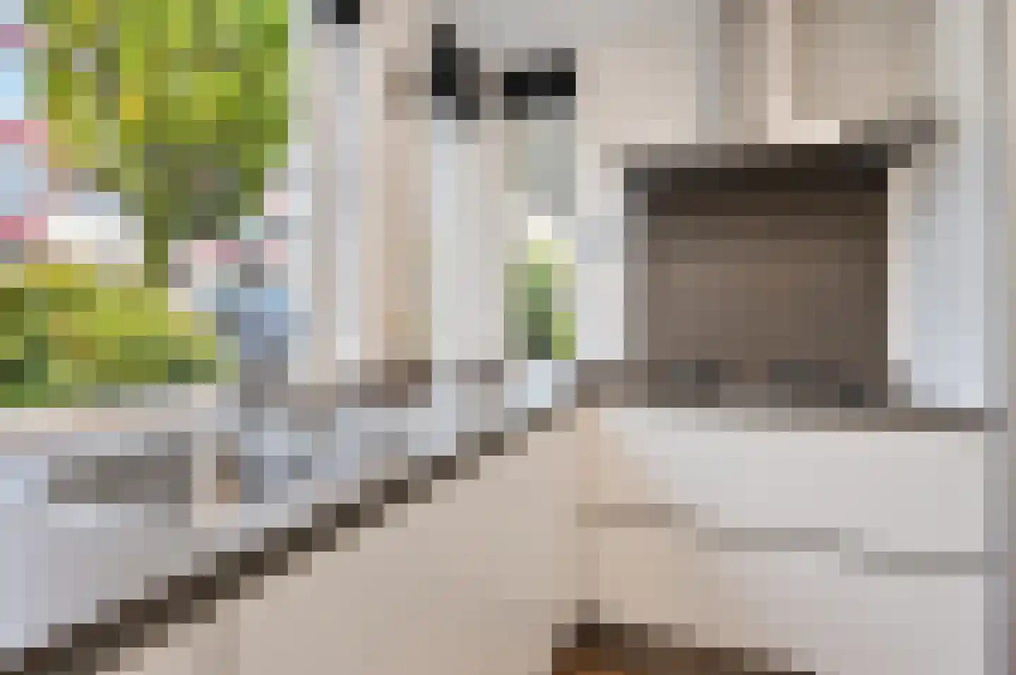 Lydie Platestraat 10 Voorburg thumbnail 18