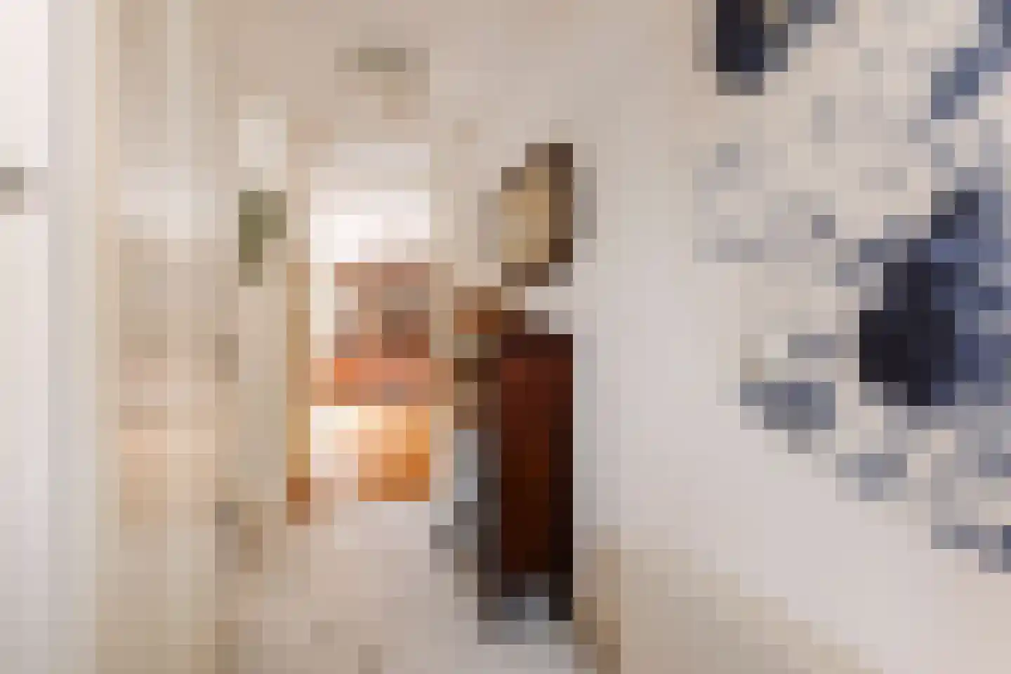 Lydie Platestraat 2 Voorburg thumbnail 14