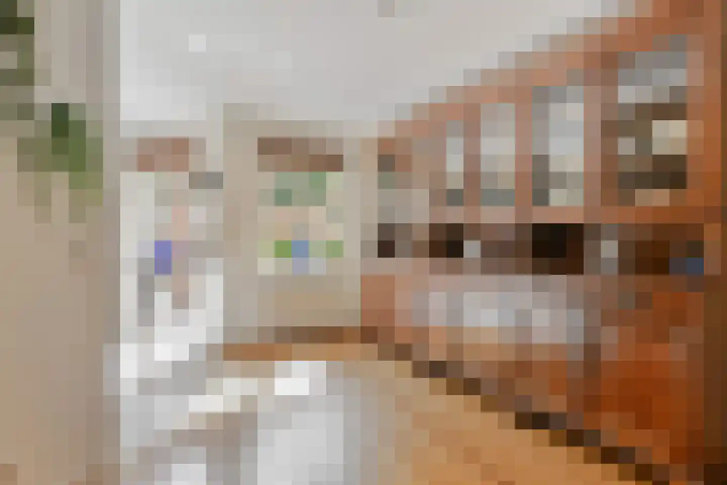 Lydie Platestraat 2 Voorburg thumbnail 20