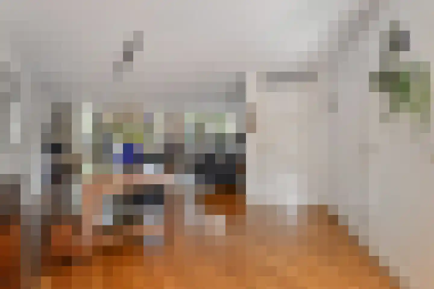 Lydie Platestraat 2 Voorburg thumbnail 21