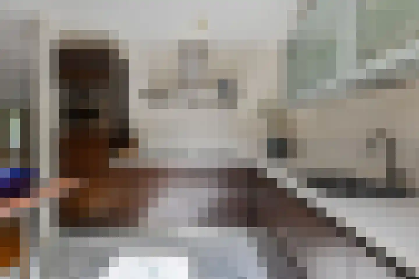 Lydie Platestraat 2 Voorburg thumbnail 24