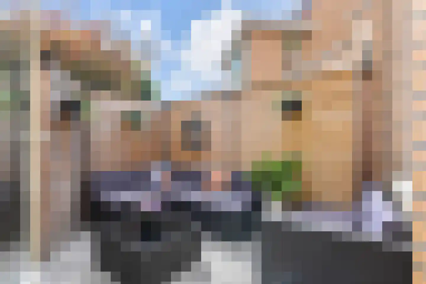 Lydie Platestraat 2 Voorburg thumbnail 36
