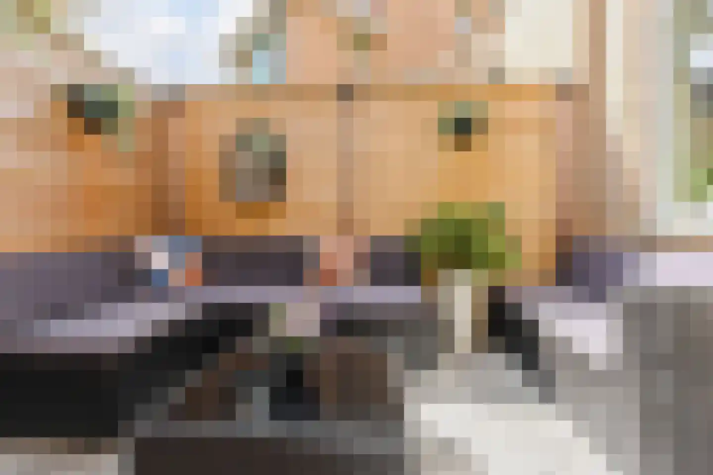 Lydie Platestraat 2 Voorburg thumbnail 37
