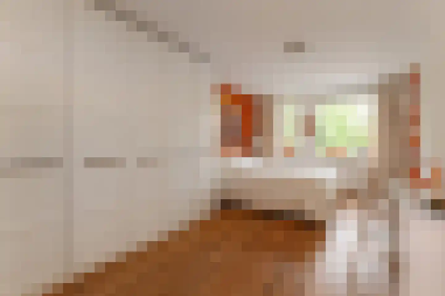 Lydie Platestraat 2 Voorburg thumbnail 48
