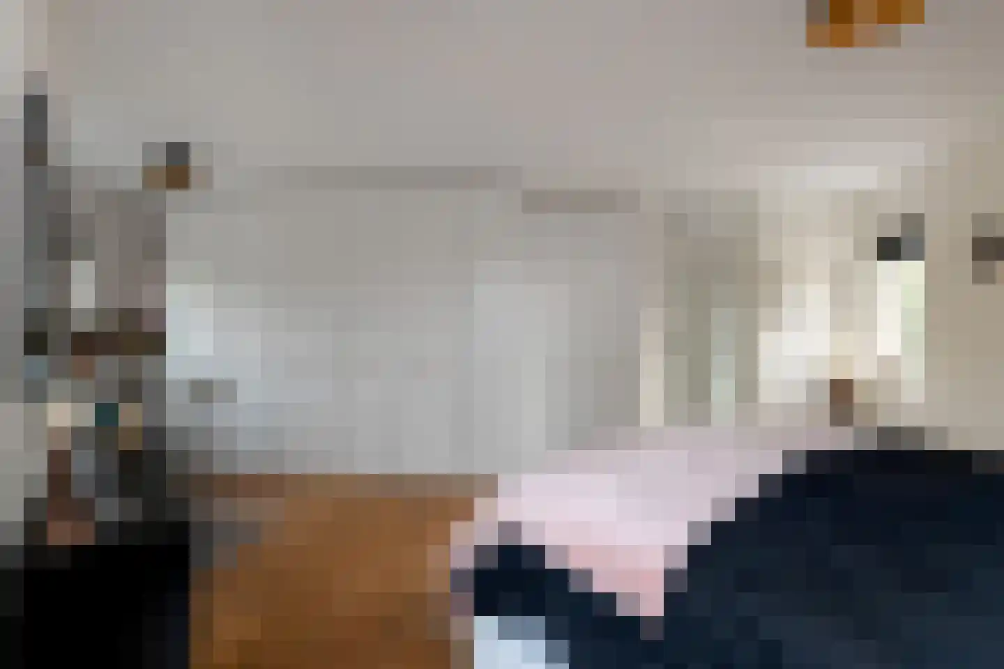 Lydie Platestraat 2 Voorburg thumbnail 64