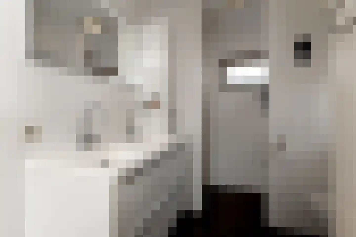Lydie Platestraat 2 Voorburg thumbnail 65