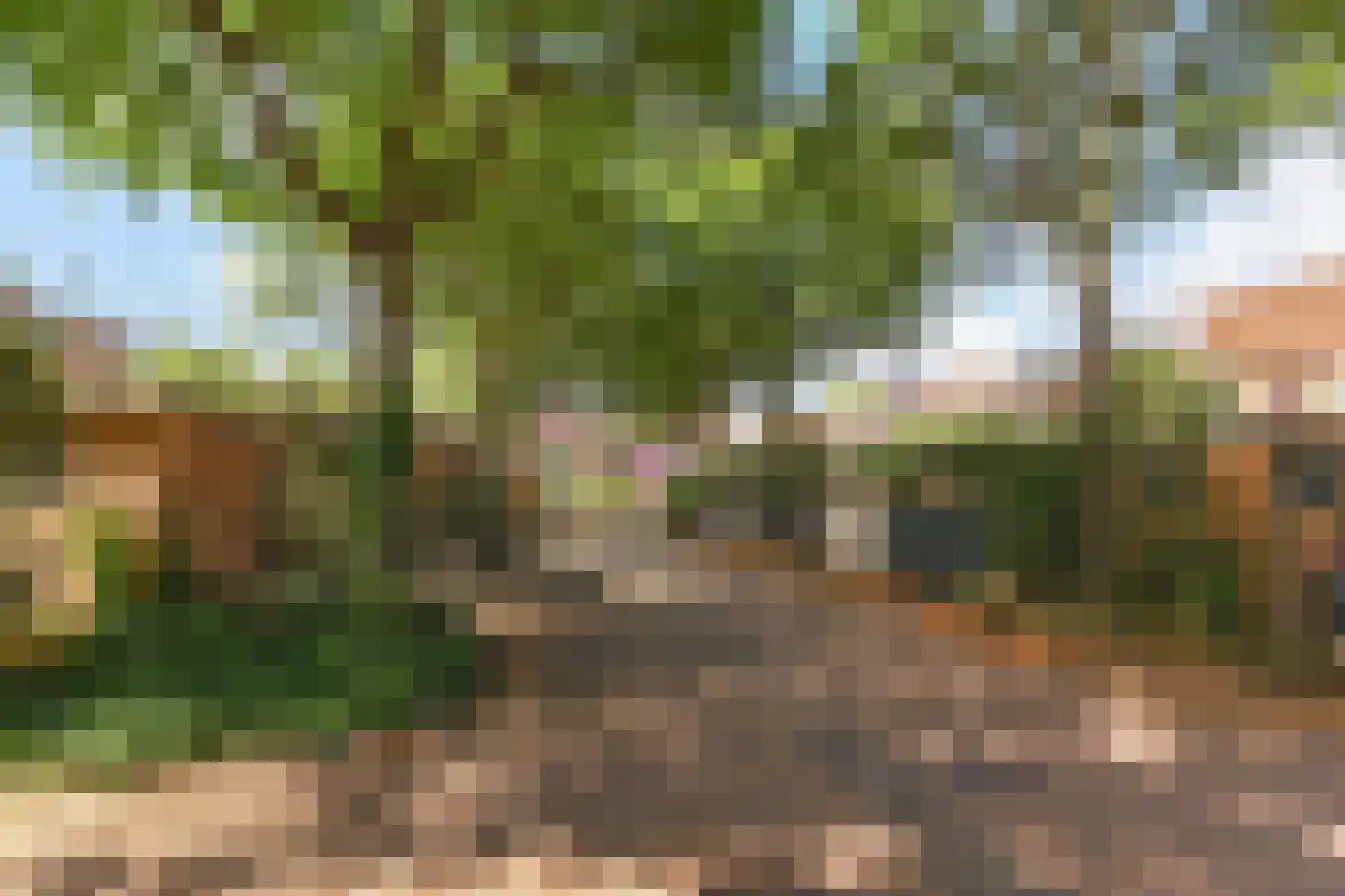 Lydie Platestraat 2 Voorburg thumbnail 72
