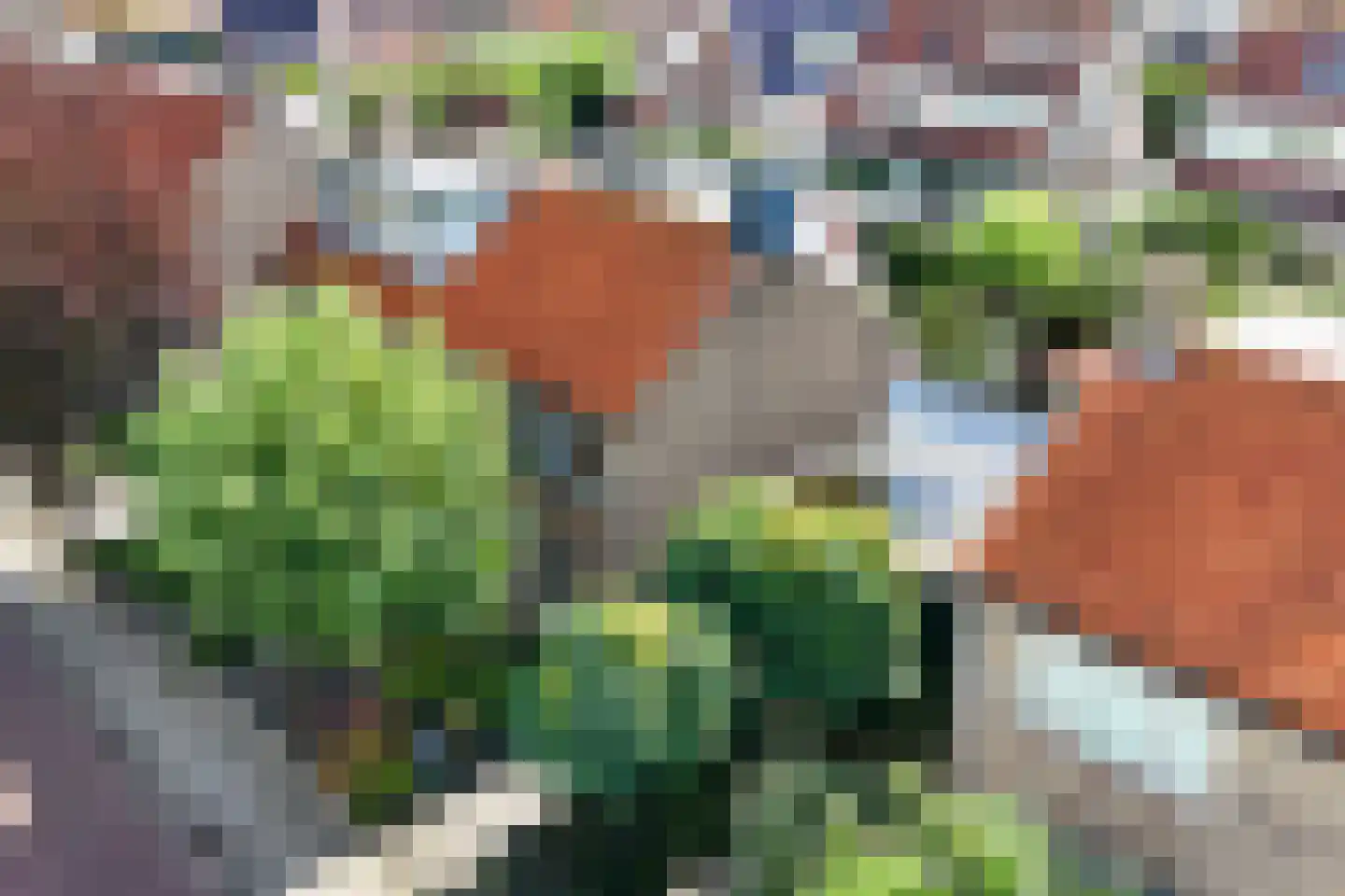 Lydweg 11 Akersloot thumbnail 51