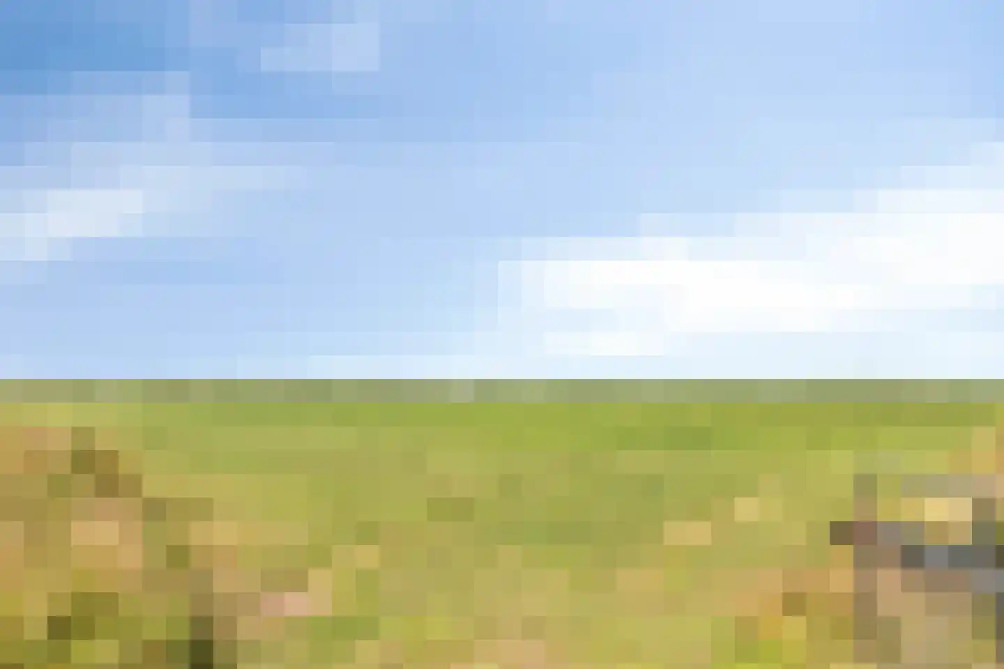 Lydweg 18 Akersloot thumbnail 29