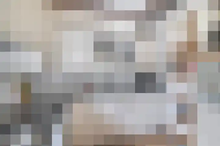 Lyklamawei 21 Nijemirdum thumbnail 10