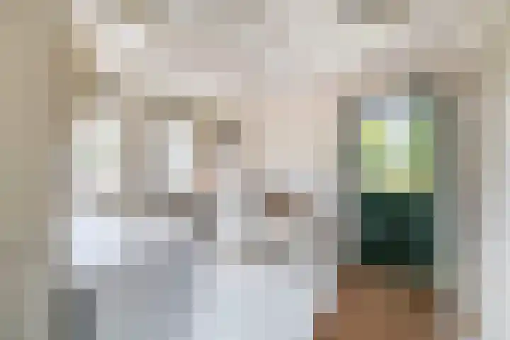 Lyklamawei 21 Nijemirdum thumbnail 17