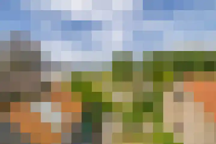 Lyklamawei 21 Nijemirdum thumbnail 34