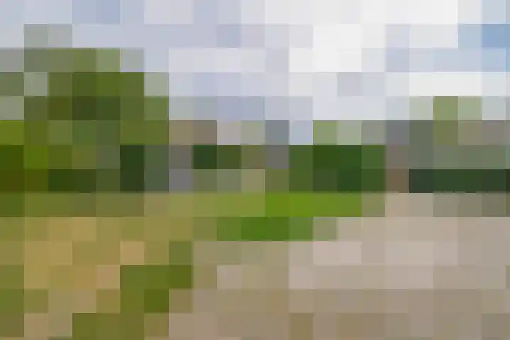 Lyklamawei 21 Nijemirdum thumbnail 36