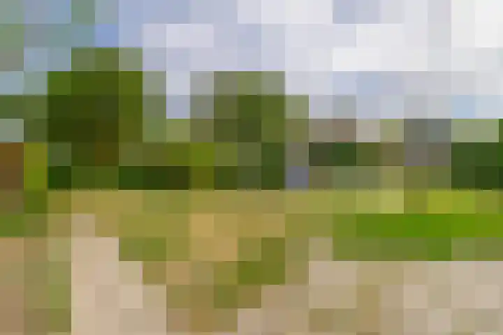 Lyklamawei 21 Nijemirdum thumbnail 37