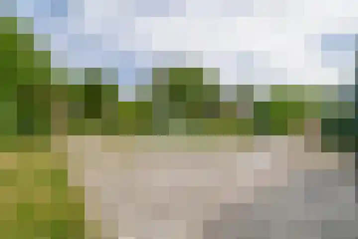 Lyklamawei 21 Nijemirdum thumbnail 38