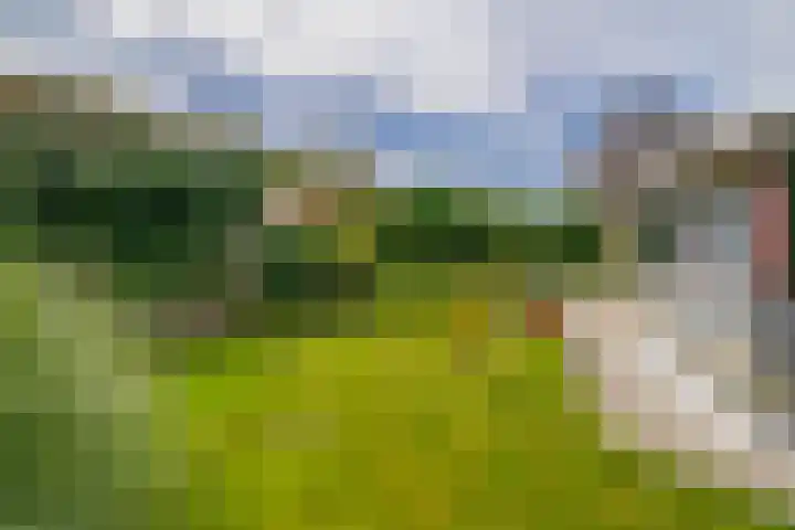 Lyklamawei 21 Nijemirdum thumbnail 43