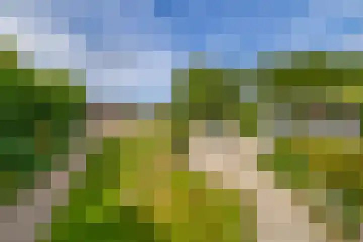 Lyklamawei 21 Nijemirdum thumbnail 45
