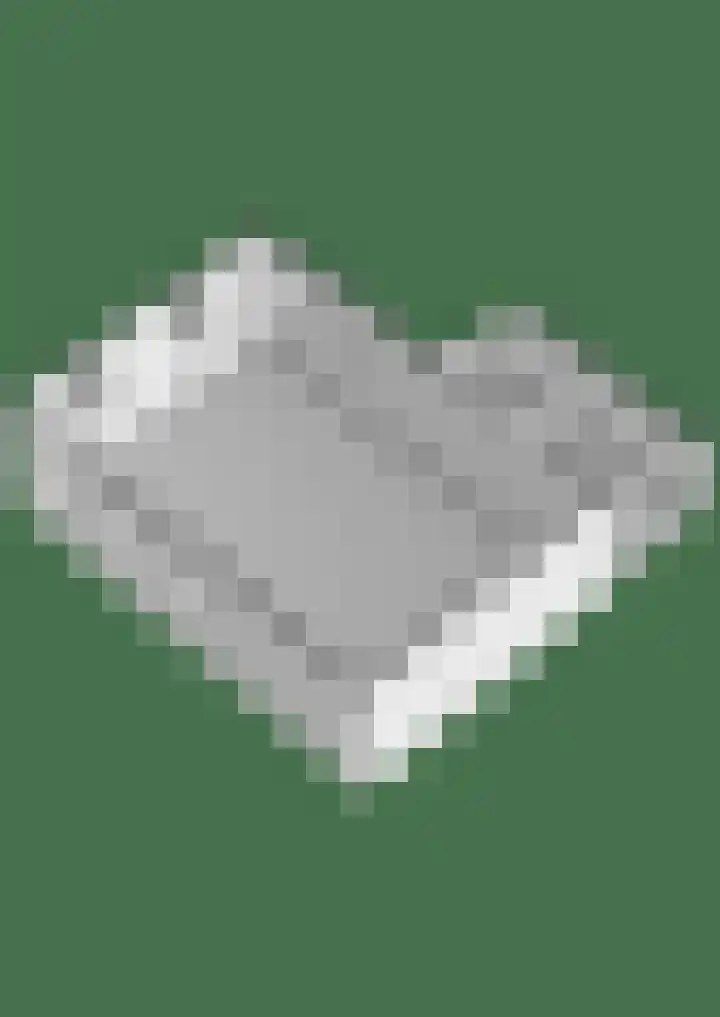 Lyklamawei 21 Nijemirdum thumbnail 55