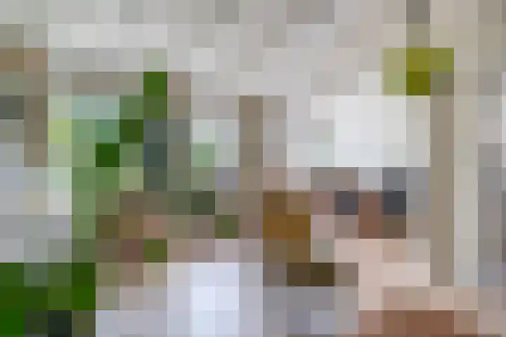 Lyklamawei 21 Nijemirdum thumbnail 8