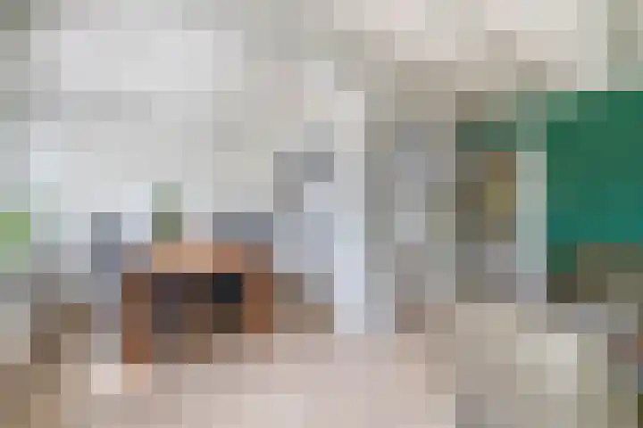 Lyklamawei 21 Nijemirdum thumbnail 9