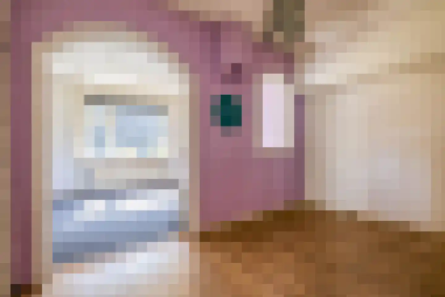 Lyklamawei 65 Nijemirdum thumbnail 15
