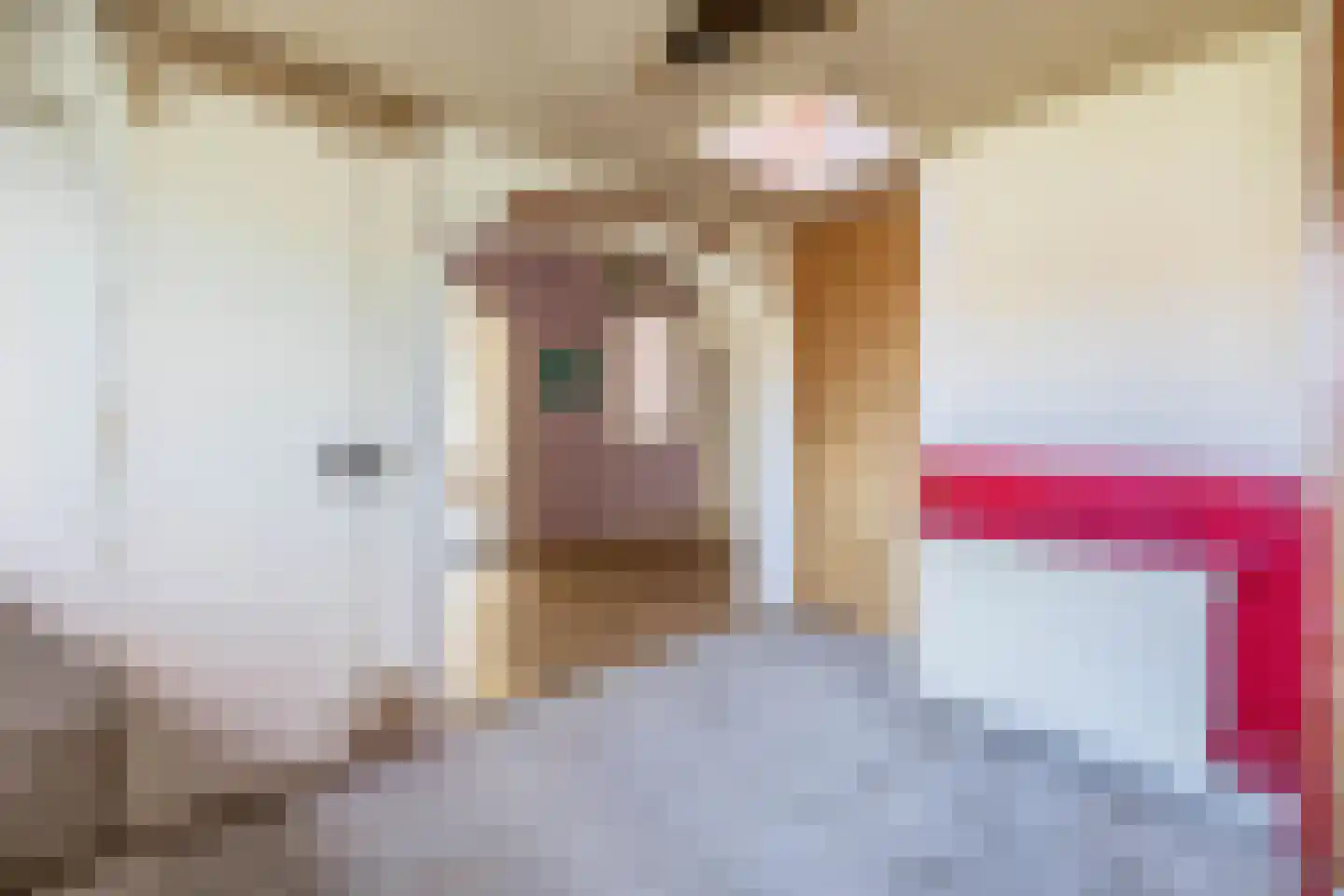 Lyklamawei 65 Nijemirdum thumbnail 21