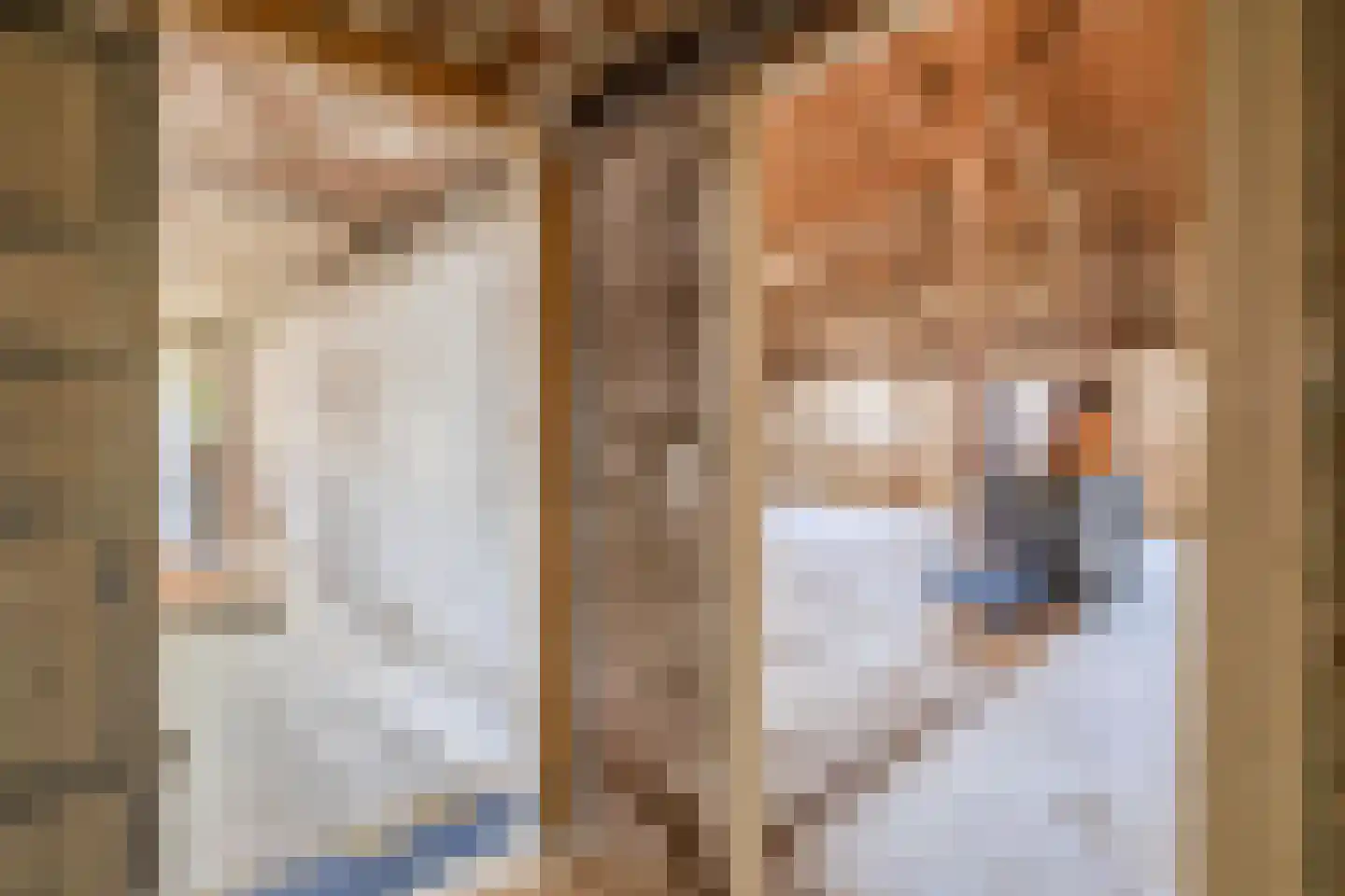 Lyklamawei 65 Nijemirdum thumbnail 29