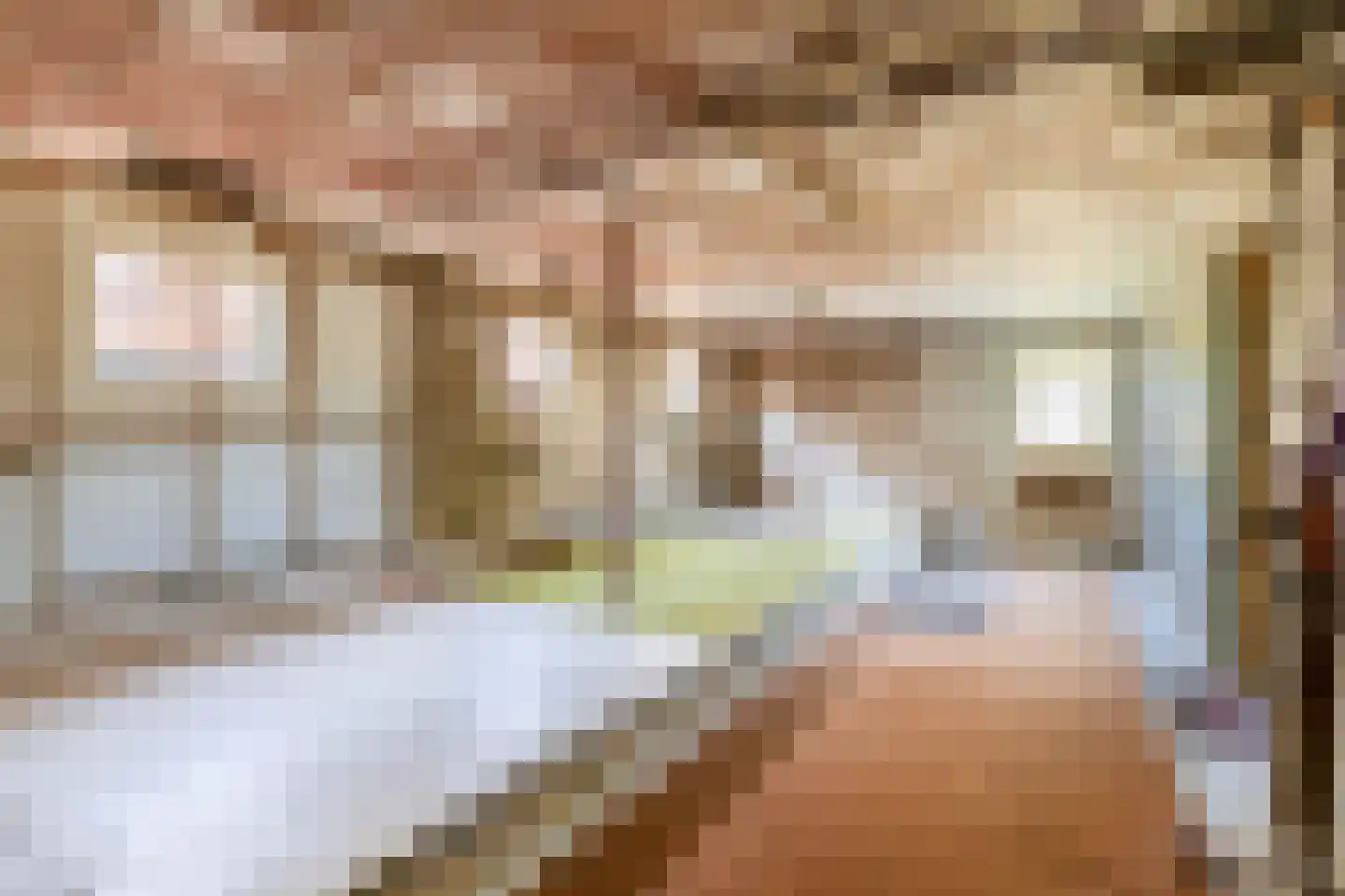 Lyklamawei 65 Nijemirdum thumbnail 31
