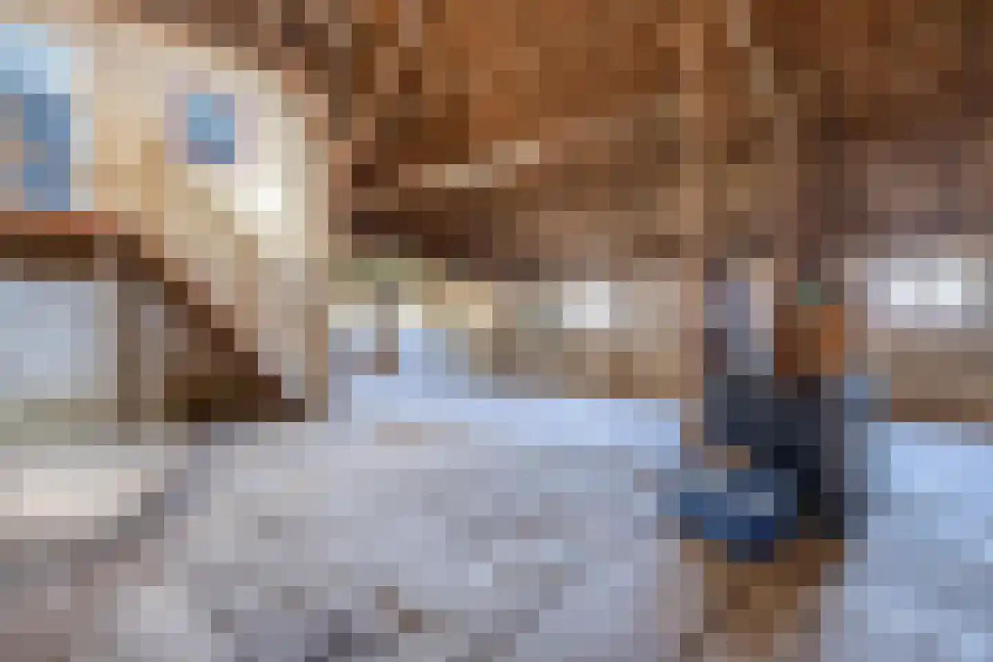 Lyklamawei 65 Nijemirdum thumbnail 32