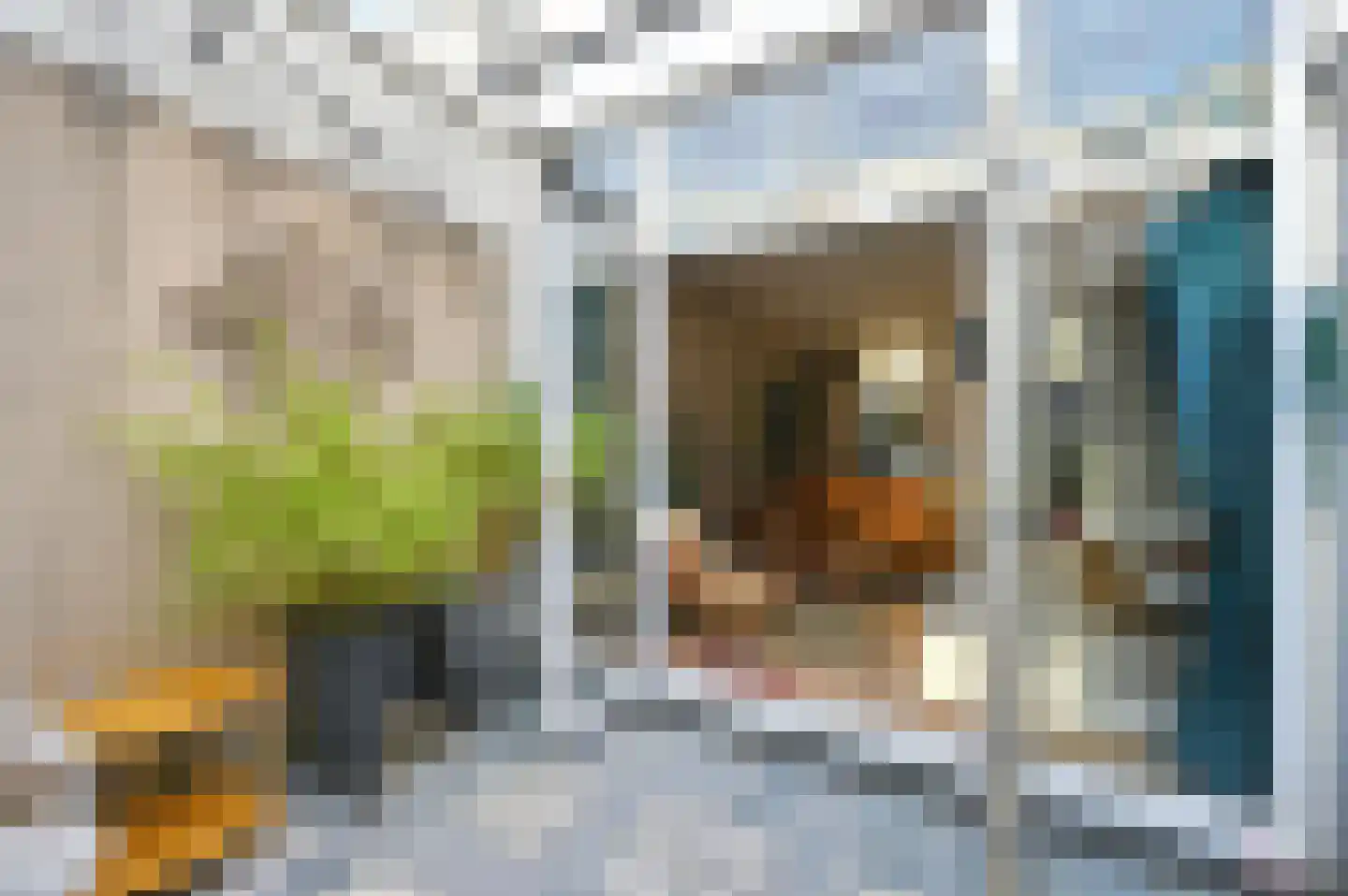 Lynckerstraat 19 Den Haag thumbnail 38
