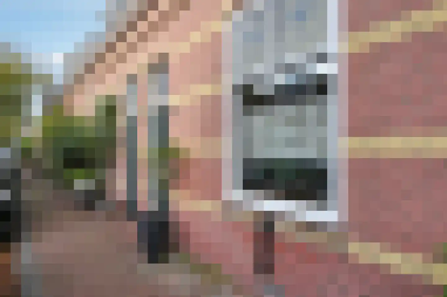 Lynckerstraat 19 Den Haag thumbnail 39