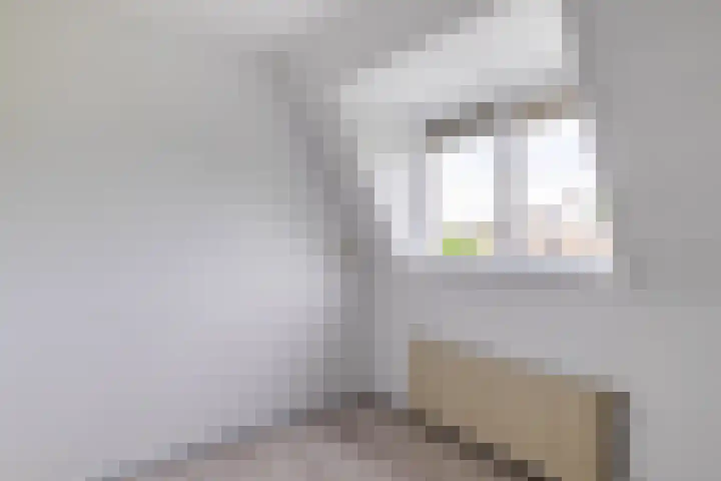 Lyndakkers 44 Nuenen thumbnail 18