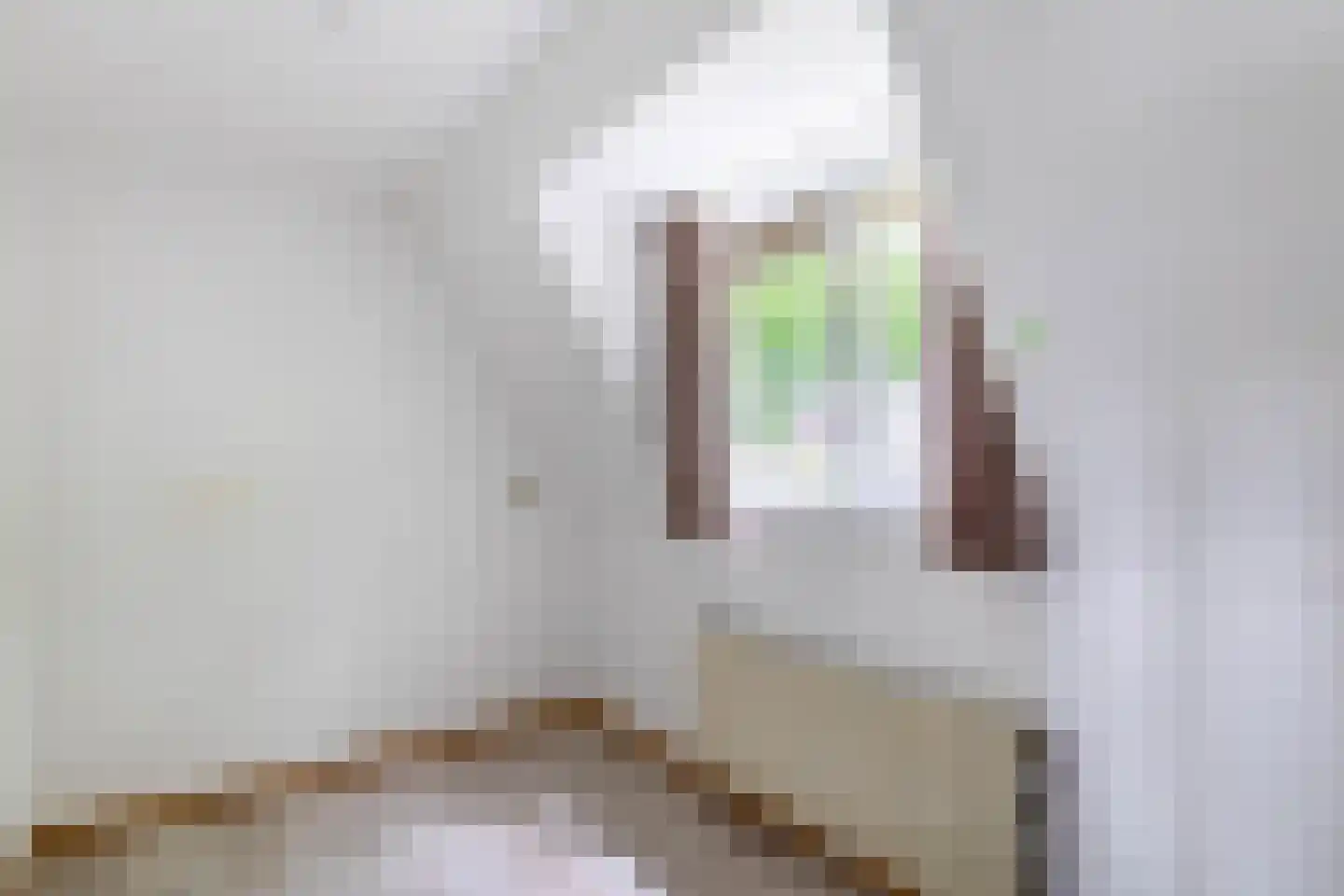 Lyndakkers 44 Nuenen thumbnail 20