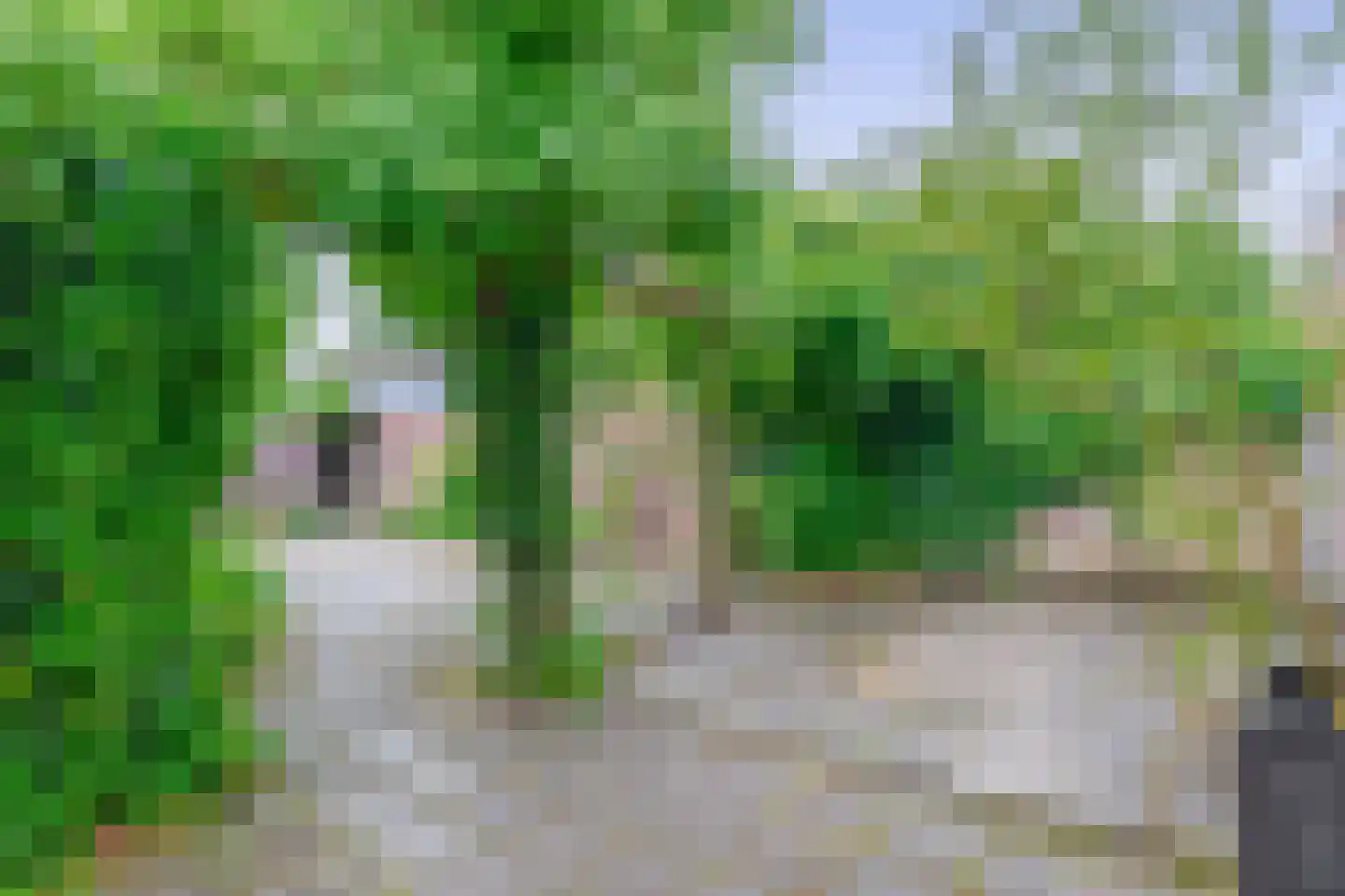Lyndakkers 44 Nuenen thumbnail 23